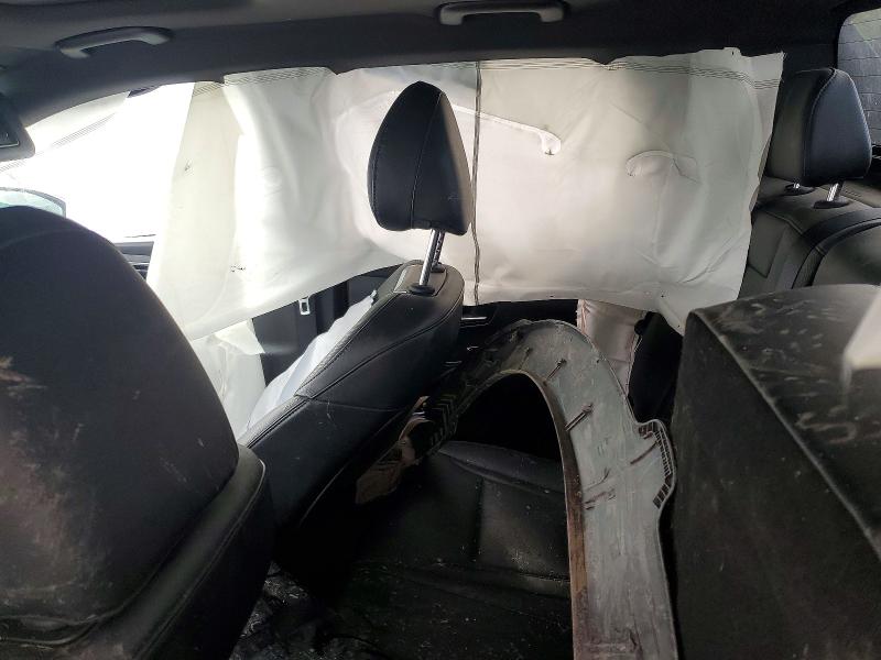 2024 Hyundai Santa Cruz მანქანა იყიდება აუქციონზე, vin: 5NTJEDDF0RH102900, აუქციონის ნომერი: 54504056