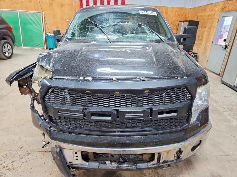 2011 Ford F150 მანქანა იყიდება აუქციონზე, vin: 1FTFW1EF5BFA04749, აუქციონის ნომერი: 56645136