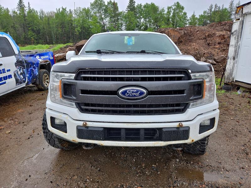 Продажа на аукционе авто 2019 Ford F150, vin: 1FTFW1E48KKE54014, номер лота: 57384146