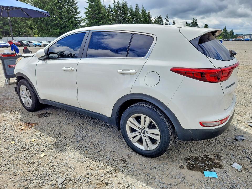 55814626 :رقم المزاد ، KNDPM3AC5K7563942 vin ، 2019 Kia Sportage مزاد بيع