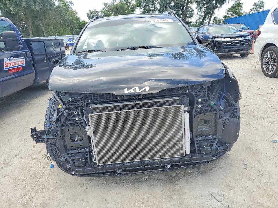 Продаж на аукціоні авто 2023 Kia Sportage, vin: 5XYK43AF4PG031502, номер лоту: 57513896