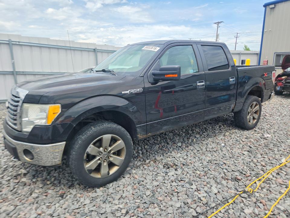 Продаж на аукціоні авто 2010 Ford F150, vin: 1FTFW1EV1AFD36662, номер лоту: 56853616