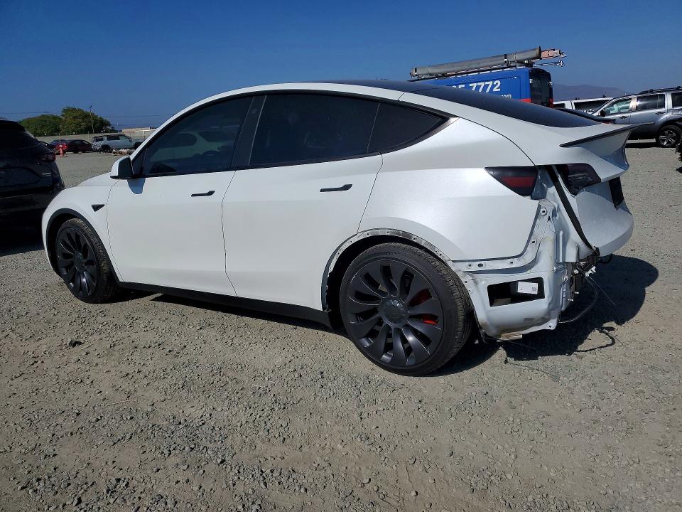 55653136 :رقم المزاد ، 5YJYGDEF1MF219995 vin ، 2021 Tesla Model Y مزاد بيع