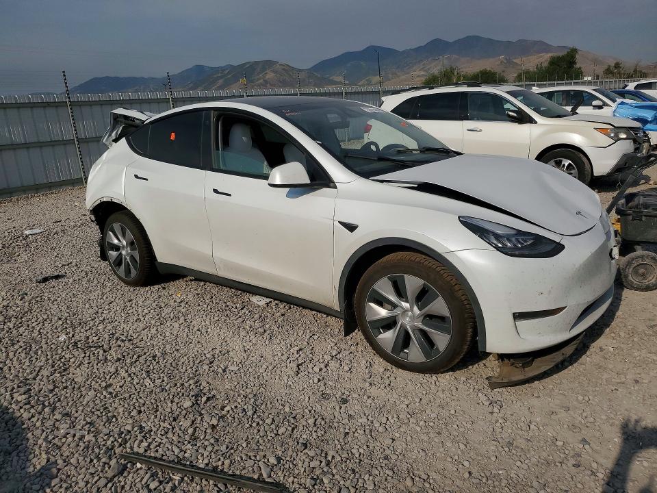 Aukcja sprzedaży 2023 Tesla Model Y, vin: 7SAYGDEE2PF617277, numer aukcji: 58314646