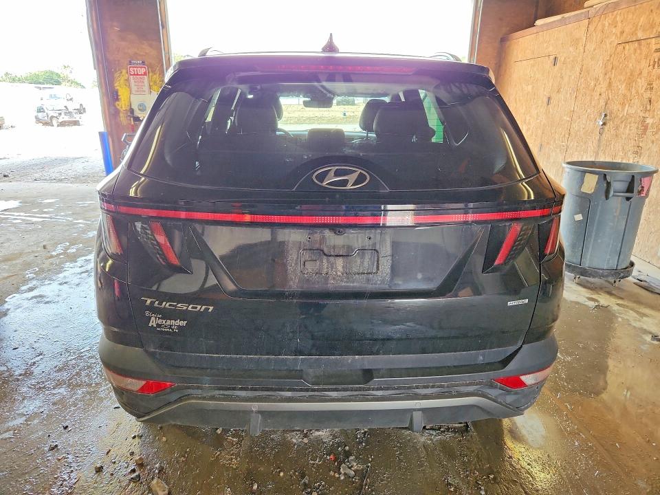 Продаж на аукціоні авто 2023 Hyundai Tucson, vin: 5NMJECAE8PH243129, номер лоту: 59127536