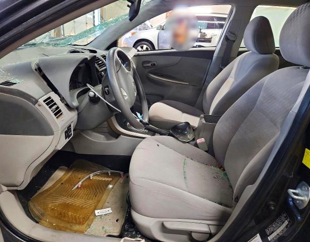 56820296 :رقم المزاد ، JTDBU4EE2A9109646 vin ، 2010 Toyota Corolla مزاد بيع