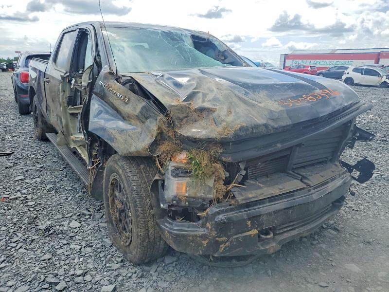 Aukcja sprzedaży 2024 Chevrolet Silverado, vin: 3GCPDBEK8RG398897, numer aukcji: 55082396