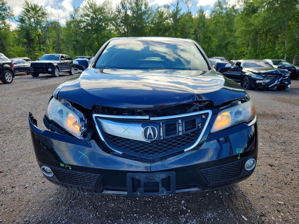 56873816 :رقم المزاد ، 5J8TB4H53DL800361 vin ، 2013 Acura Rdx مزاد بيع