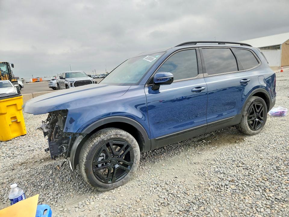 Продаж на аукціоні авто 2025 Kia Telluride, vin: 5XYP5DGC6SG726109, номер лоту: 58380086