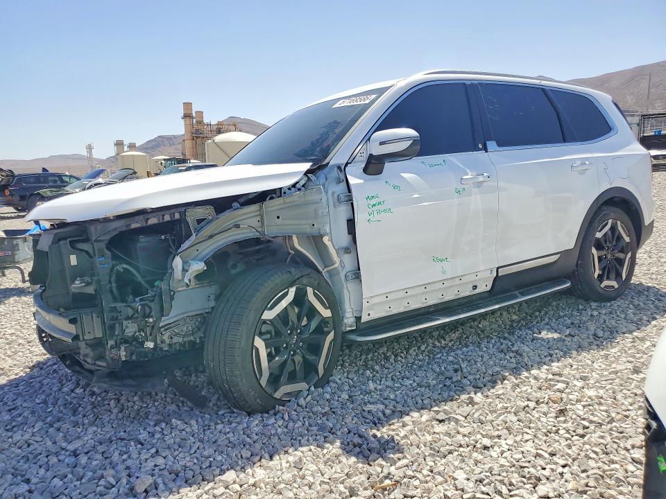Auction sale of the 2024 Kia Telluride, vin: 5XYP6DGC9RG519785, lot number: 57169586