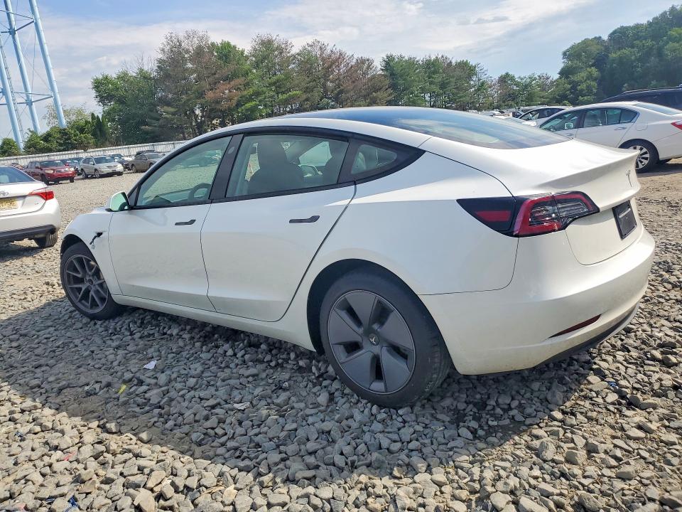 Продаж на аукціоні авто 2023 Tesla Model 3, vin: 5YJ3E1EA7PF478983, номер лоту: 58595646