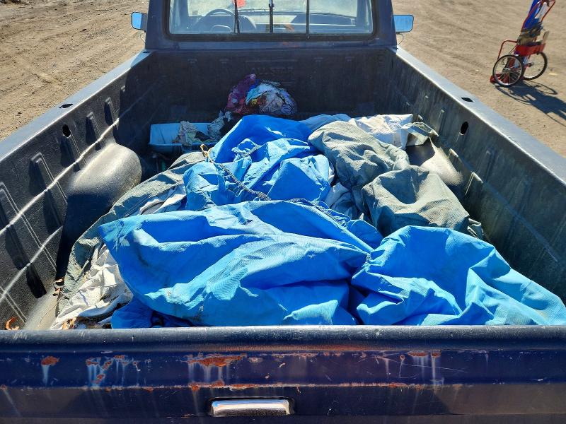 1991 Ford F-150 მანქანა იყიდება აუქციონზე, vin: 1FTDF15Y5MNA81929, აუქციონის ნომერი: 56561276