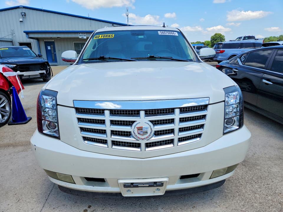 Продажа на аукционе авто 2008 Cadillac Escalade, vin: 1GYFK66868R240787, номер лота: 56076066