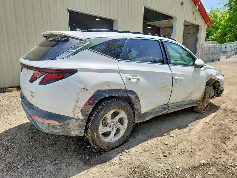 Продажа на аукционе авто 2024 Hyundai Tucson, vin: 5NMJBCDE1RH297184, номер лота: 55415266