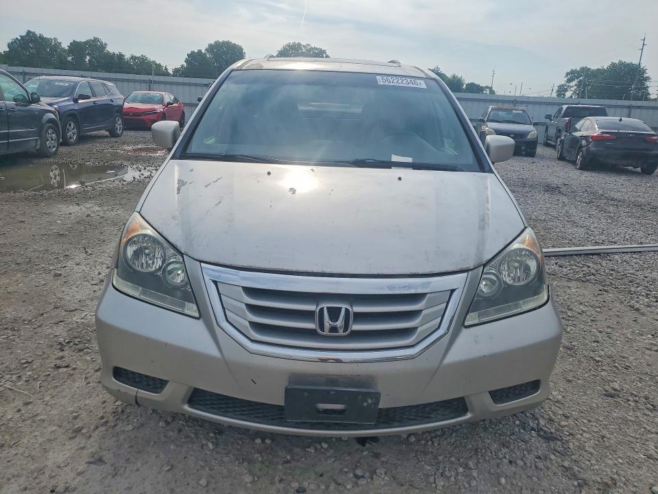 Продаж на аукціоні авто 2009 Honda Odyssey, vin: 5FNRL38749B046995, номер лоту: 56222346