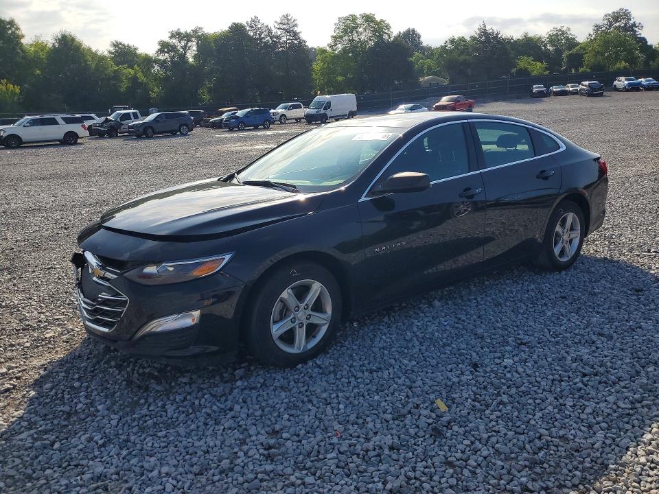 Продаж на аукціоні авто 2019 Chevrolet Malibu, vin: 1G1ZB5ST1KF203901, номер лоту: 59187056