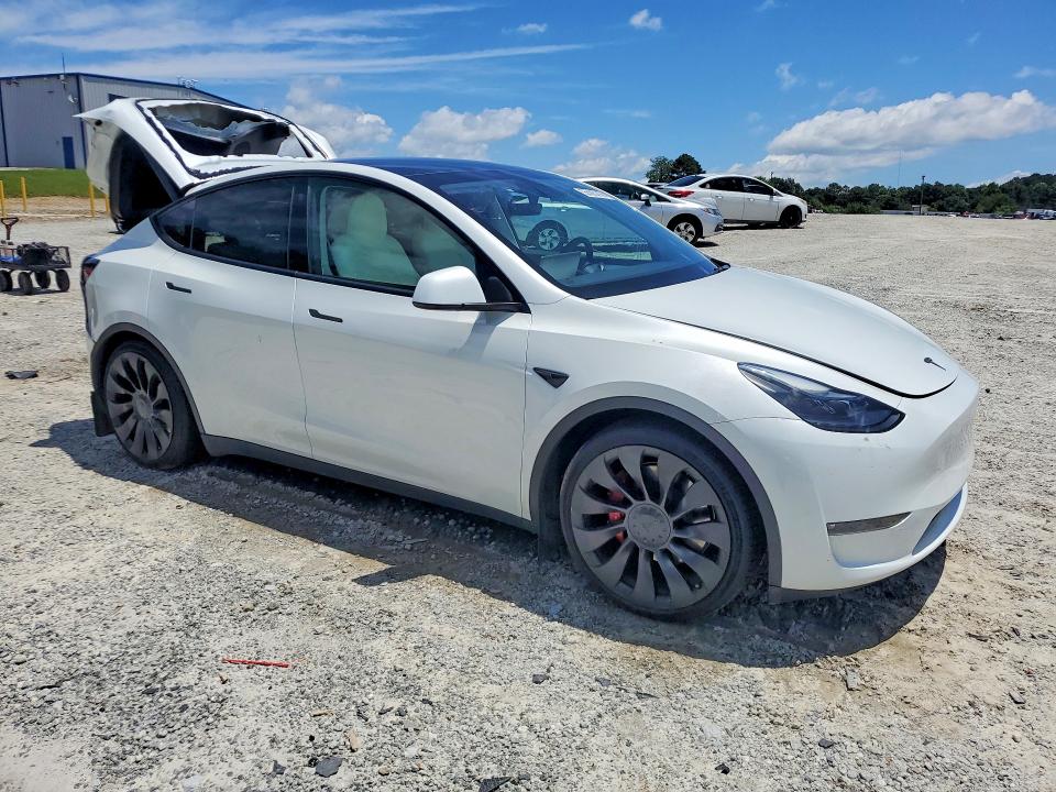Продаж на аукціоні авто 2023 Tesla Model Y, vin: 7SAYGDEF2PF761520, номер лоту: 55585216