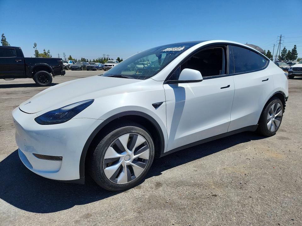 Продаж на аукціоні авто 2023 Tesla Model Y, vin: 7SAYGDEEXPF887034, номер лоту: 57293046