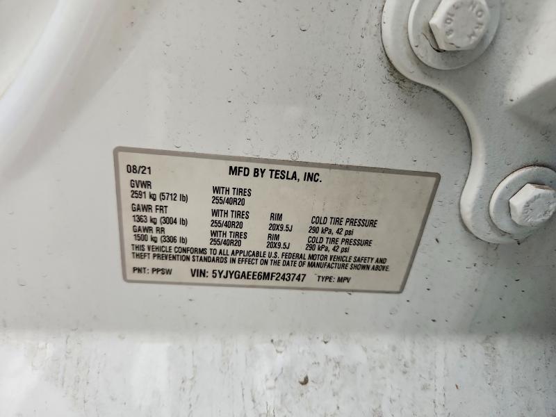 54956556 :رقم المزاد ، 5YJYGAEE6MF243747 vin ، 2021 Tesla Model Y مزاد بيع