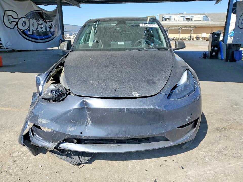 Продаж на аукціоні авто 2022 Tesla Model Y, vin: 7SAYGDEF7NF493240, номер лоту: 58436286
