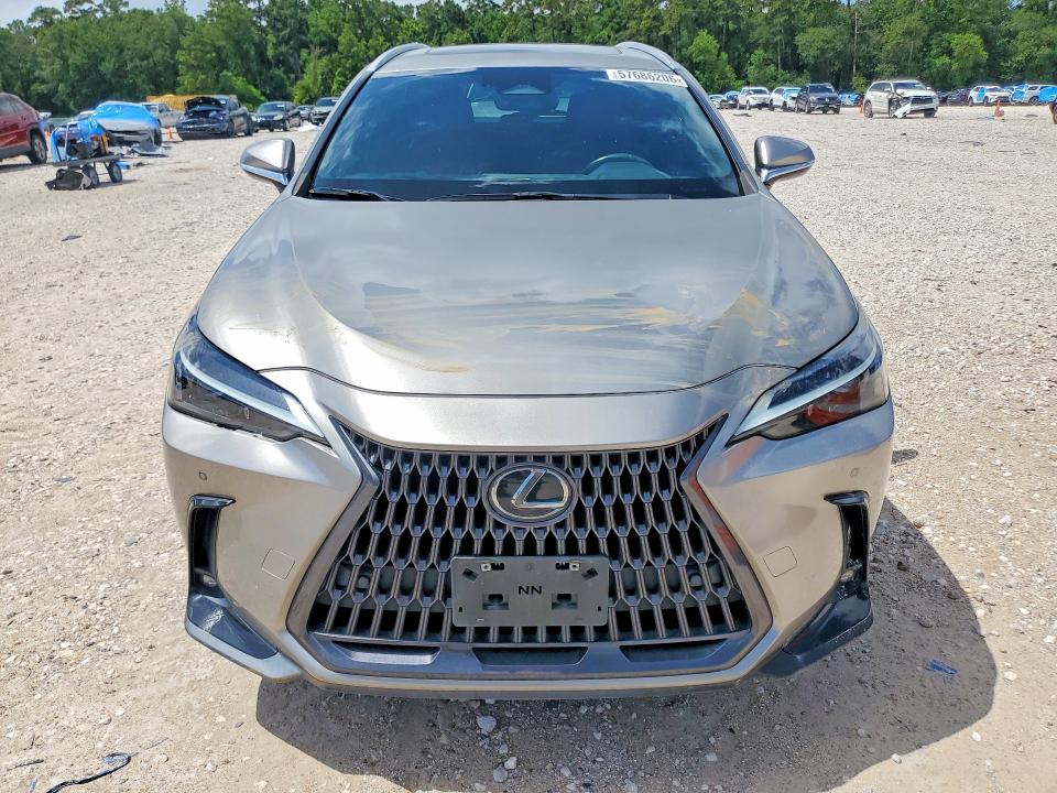 57686206 :رقم المزاد ، 2T2GGCEZ8PC020026 vin ، 2023 Lexus Nx مزاد بيع