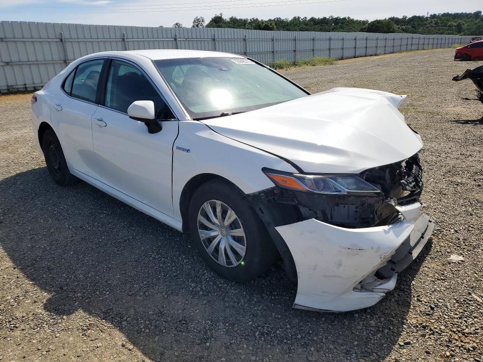 Продажа на аукционе авто 2019 Toyota Camry, vin: 4T1B31HKXKU007055, номер лота: 55948516
