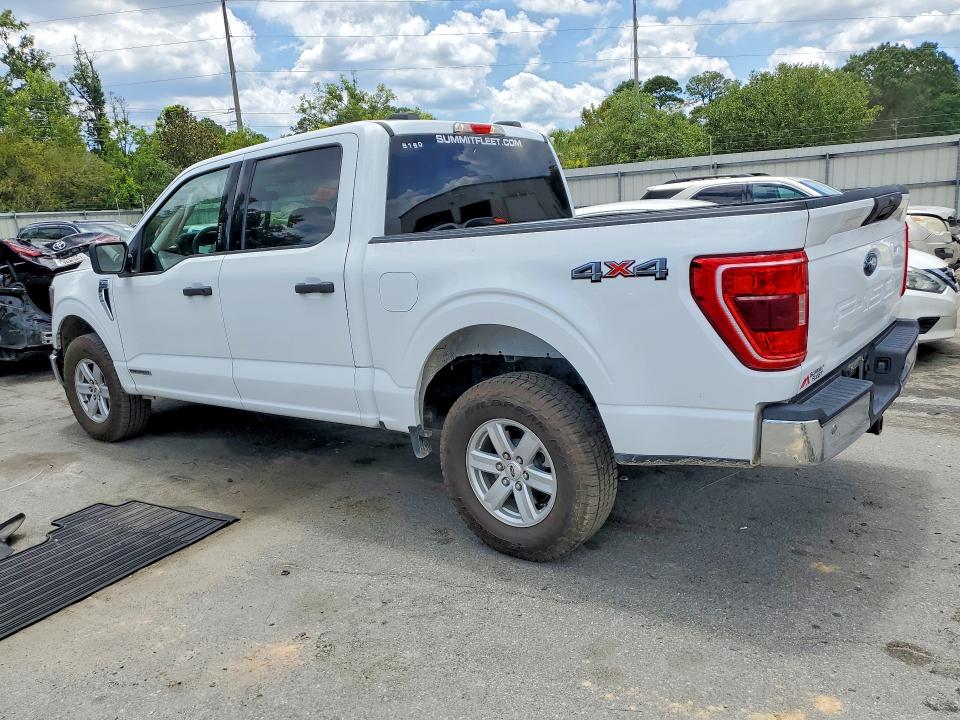 2023 Ford F150 მანქანა იყიდება აუქციონზე, vin: 1FTFW1ED2PFC65150, აუქციონის ნომერი: 58658316