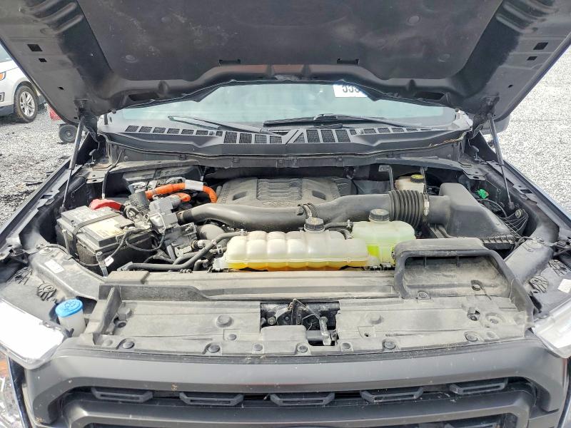 Продаж на аукціоні авто 2023 Ford F150, vin: 1FTFW1ED2PFD08112, номер лоту: 55541446