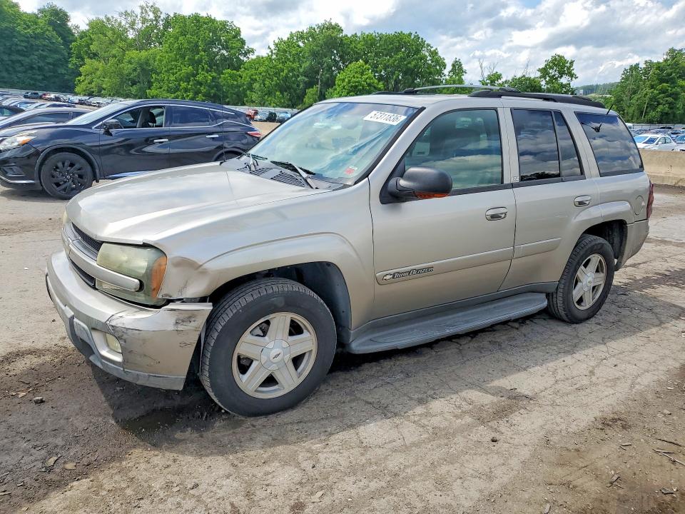 2002 Chevrolet Trailblazer მანქანა იყიდება აუქციონზე, vin: 1GNDT13S122343636, აუქციონის ნომერი: 57311836