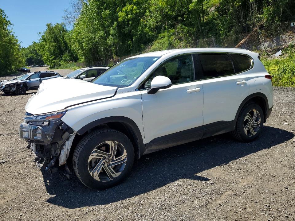 Aukcja sprzedaży 2021 Hyundai Santa Fe, vin: 5NMS1DAJ1MH344463, numer aukcji: 55117926