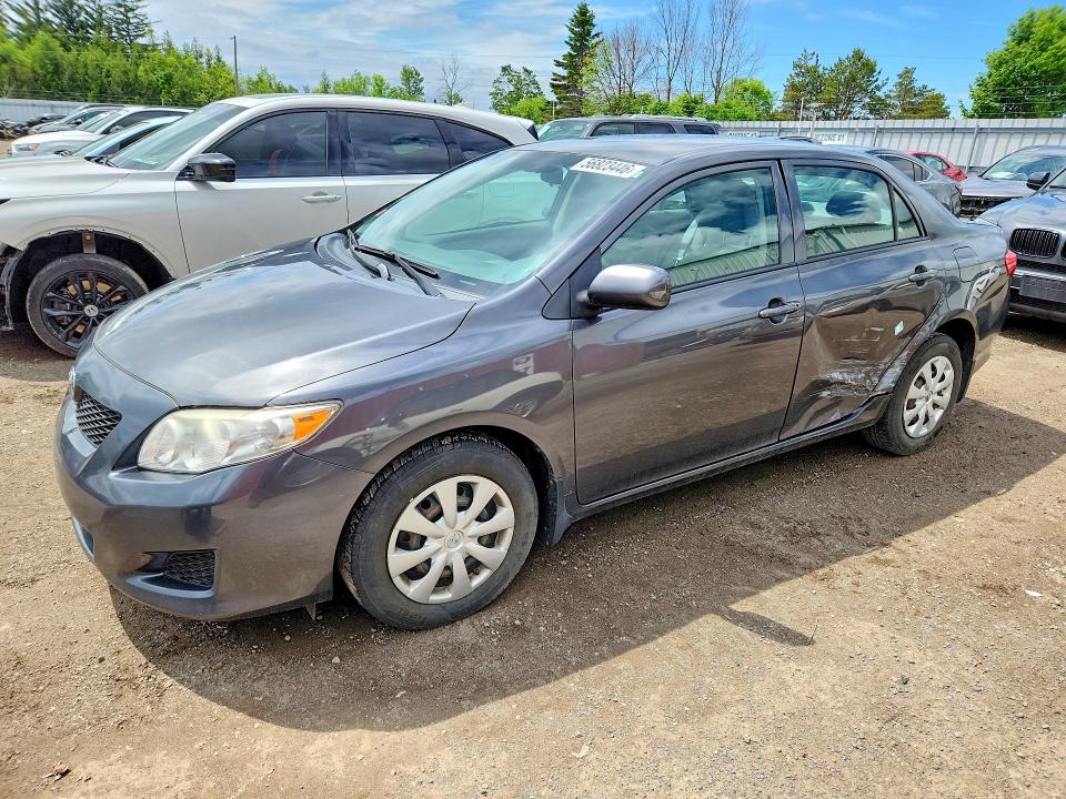 56823446 :رقم المزاد ، 2T1BU4EE1AC262626 vin ، 2010 Toyota Corolla مزاد بيع