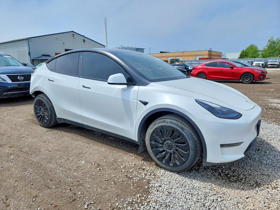 Продаж на аукціоні авто 2023 Tesla Model Y, vin: LRWYGDFDXPC901706, номер лоту: 56420876