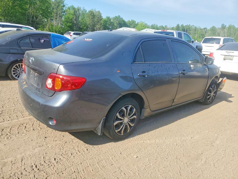 55604356 :رقم المزاد ، 2T1BU4EE2AC337950 vin ، 2010 Toyota Corolla مزاد بيع