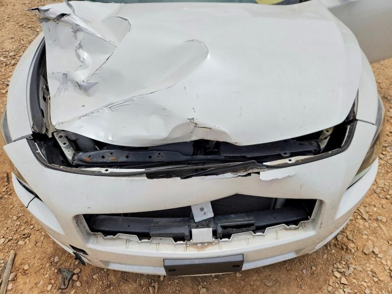 56403136 :رقم المزاد ، 1N4AA5AP3DC828418 vin ، 2013 Nissan Maxima مزاد بيع
