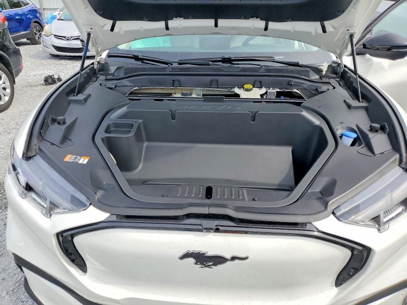 Продажа на аукционе авто 2025 Ford Mustang Mach-e, vin: 3FMTK3SU8SMA50407, номер лота: 56126926