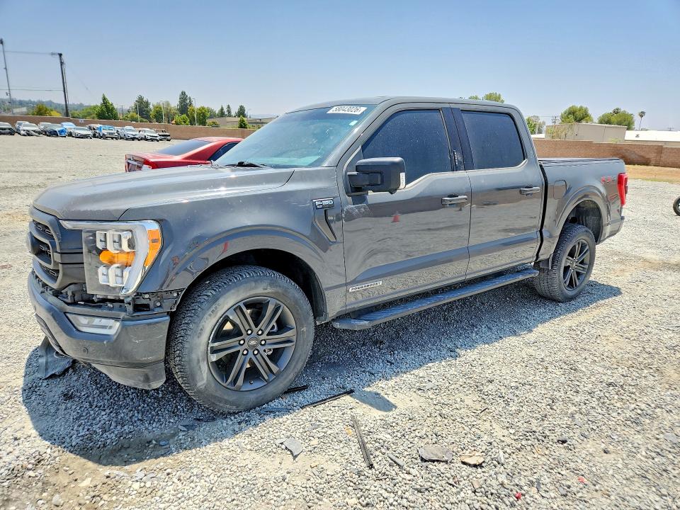 Auction sale of the 2021 Ford F150, vin: 1FTFW1ED9MFB00675, lot number: 58043026