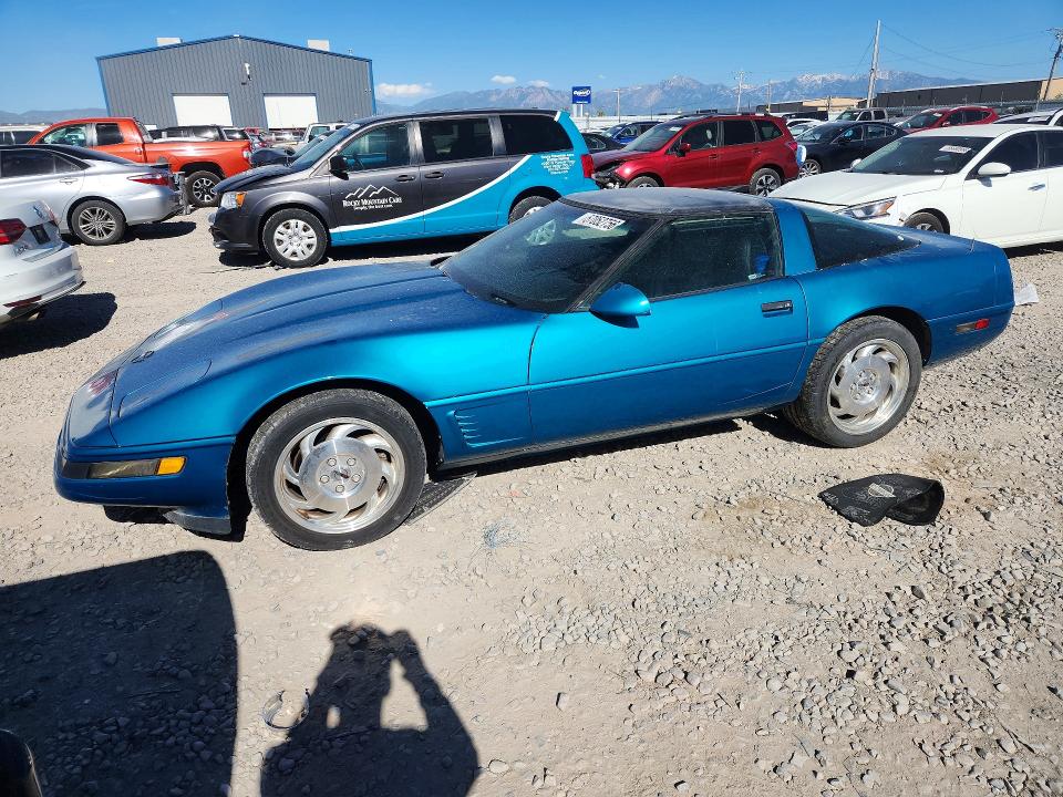 57052756 :رقم المزاد ، 1G1YY22P1S5109602 vin ، 1995 Chevrolet Corvette مزاد بيع