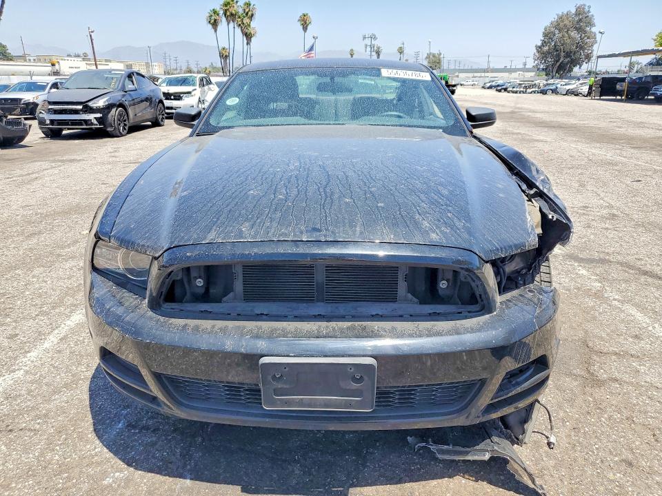 55636786 :رقم المزاد ، 1ZVBP8AM8D5282401 vin ، 2013 Ford Mustang مزاد بيع