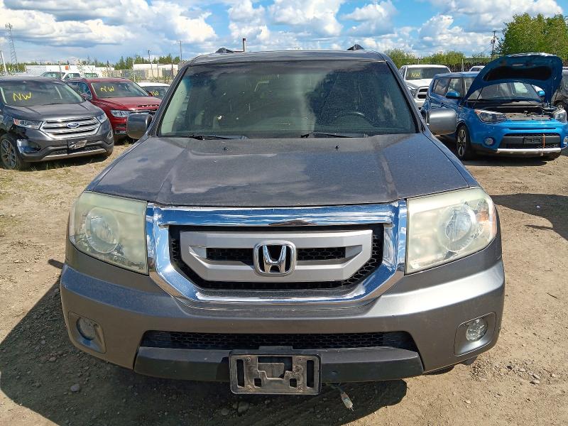 Продаж на аукціоні авто 2009 Honda Pilot, vin: 5FNYF48979B012849, номер лоту: 57218276