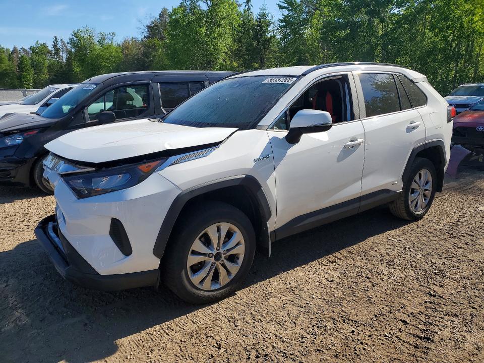 2019 Toyota Rav4 მანქანა იყიდება აუქციონზე, vin: 2T3BWRFV7KW003782, აუქციონის ნომერი: 55351566