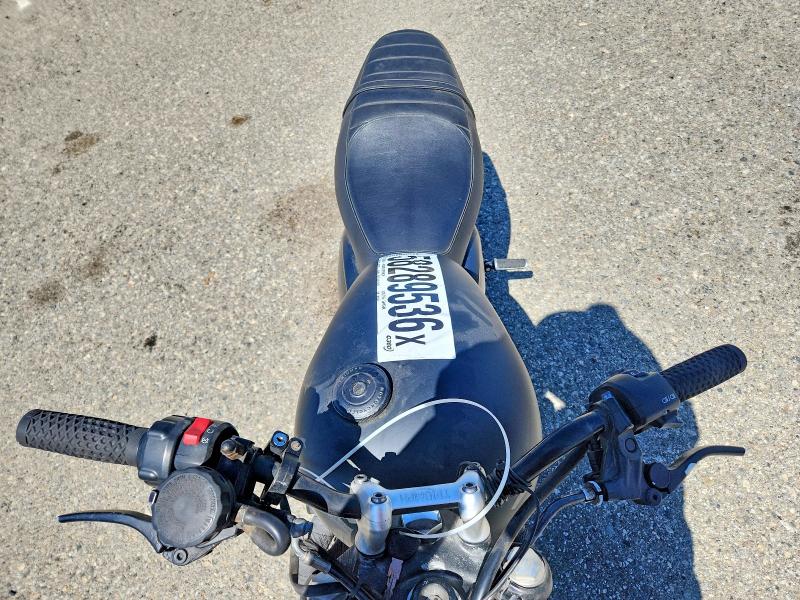 58289536 :رقم المزاد ، SMTD31GN1GT741798 vin ، 2016 Triumph Motorcycle Street Twin مزاد بيع
