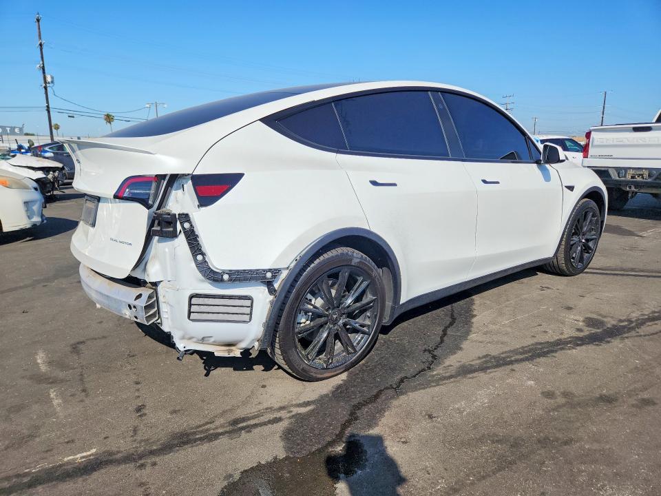 56995346 :رقم المزاد ، 5YJYGDEE7MF202643 vin ، 2021 Tesla Model Y مزاد بيع