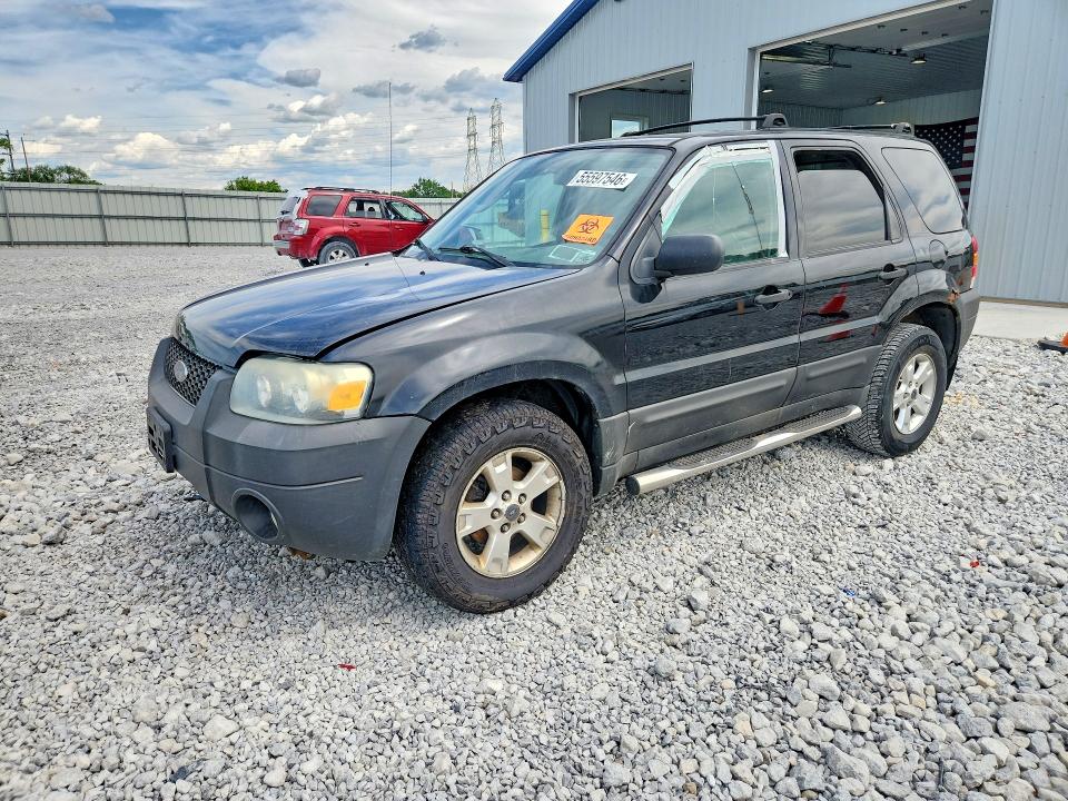 Продажа на аукционе авто 2007 Ford Escape, vin: 1FMYU03187KB17332, номер лота: 55597546