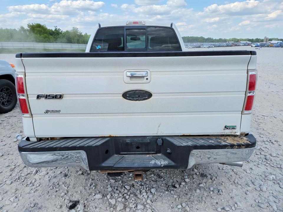 55425336 :رقم المزاد ، 1FTFX1EV6AFA40307 vin ، 2010 Ford F150 مزاد بيع