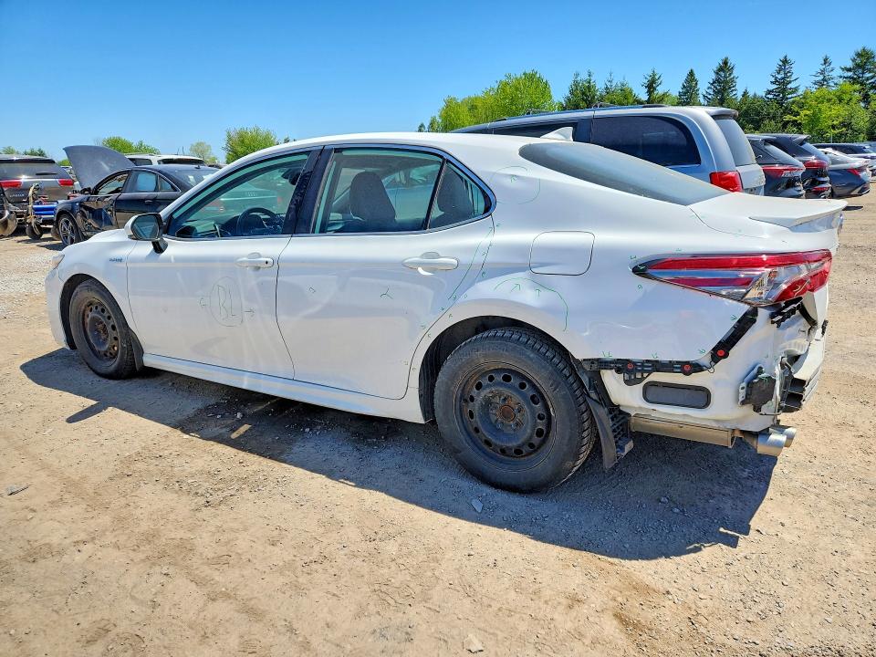 53711156 :رقم المزاد ، 4T1B21HK0KU520690 vin ، 2019 Toyota Camry Hybrid مزاد بيع