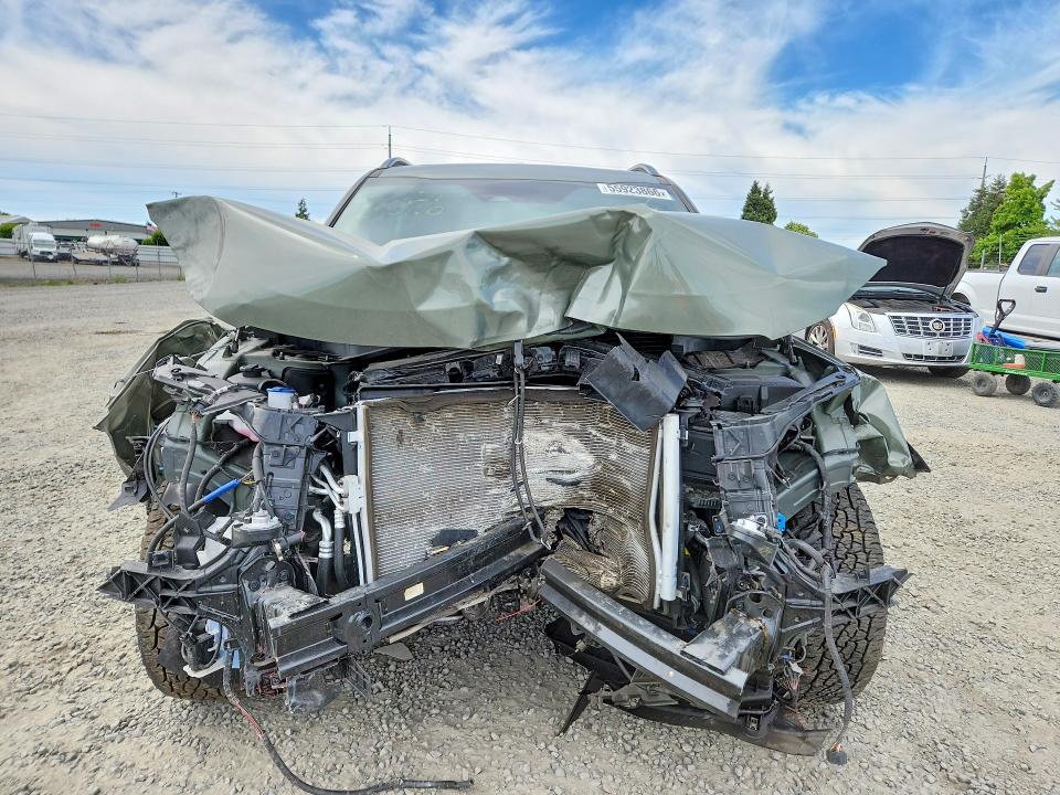 Продажа на аукционе авто 2025 Kia Telluride, vin: 5XYP5DGC1SG705619, номер лота: 55923866