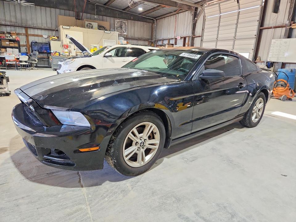 Продаж на аукціоні авто 2014 Ford Mustang, vin: 1ZVBP8AM0E5282362, номер лоту: 57769006
