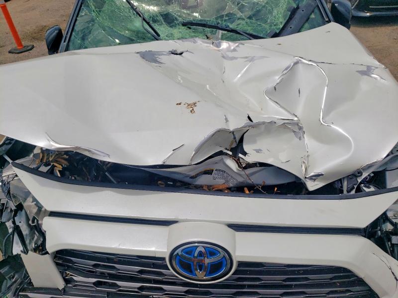 Aukcja sprzedaży 2019 Toyota Rav4, vin: JTMEWRFV8KJ003446, numer aukcji: 58769186