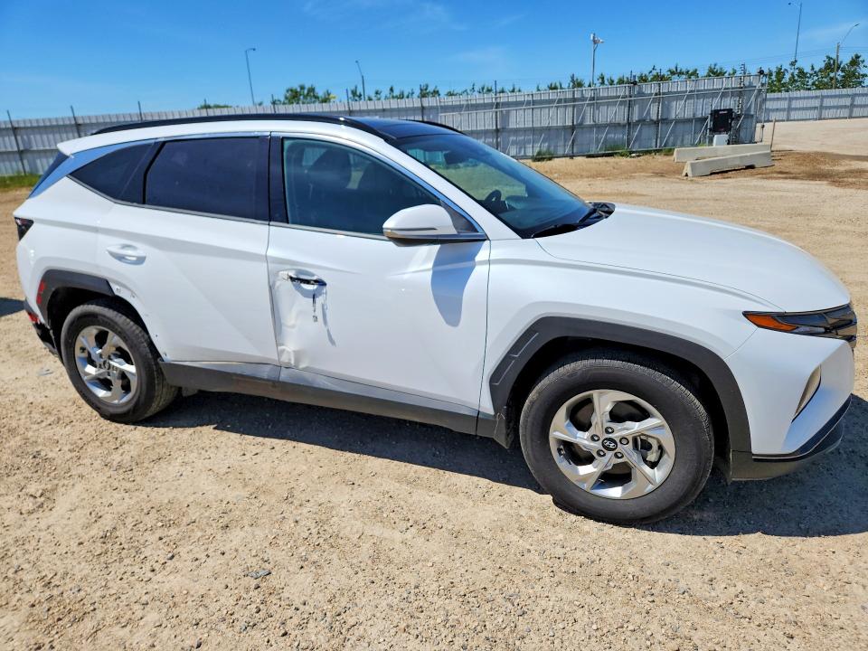 Продажа на аукционе авто 2024 Hyundai Tucson, vin: KM8JCCDE9RU322091, номер лота: 59132906