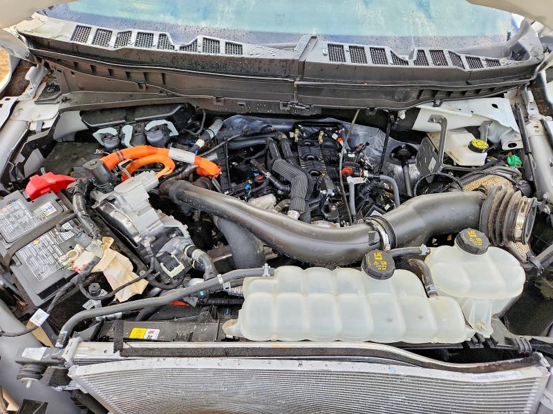 57325246 :رقم المزاد ، 1FTFW6LD0SFB54699 vin ، 2025 Ford F150 مزاد بيع